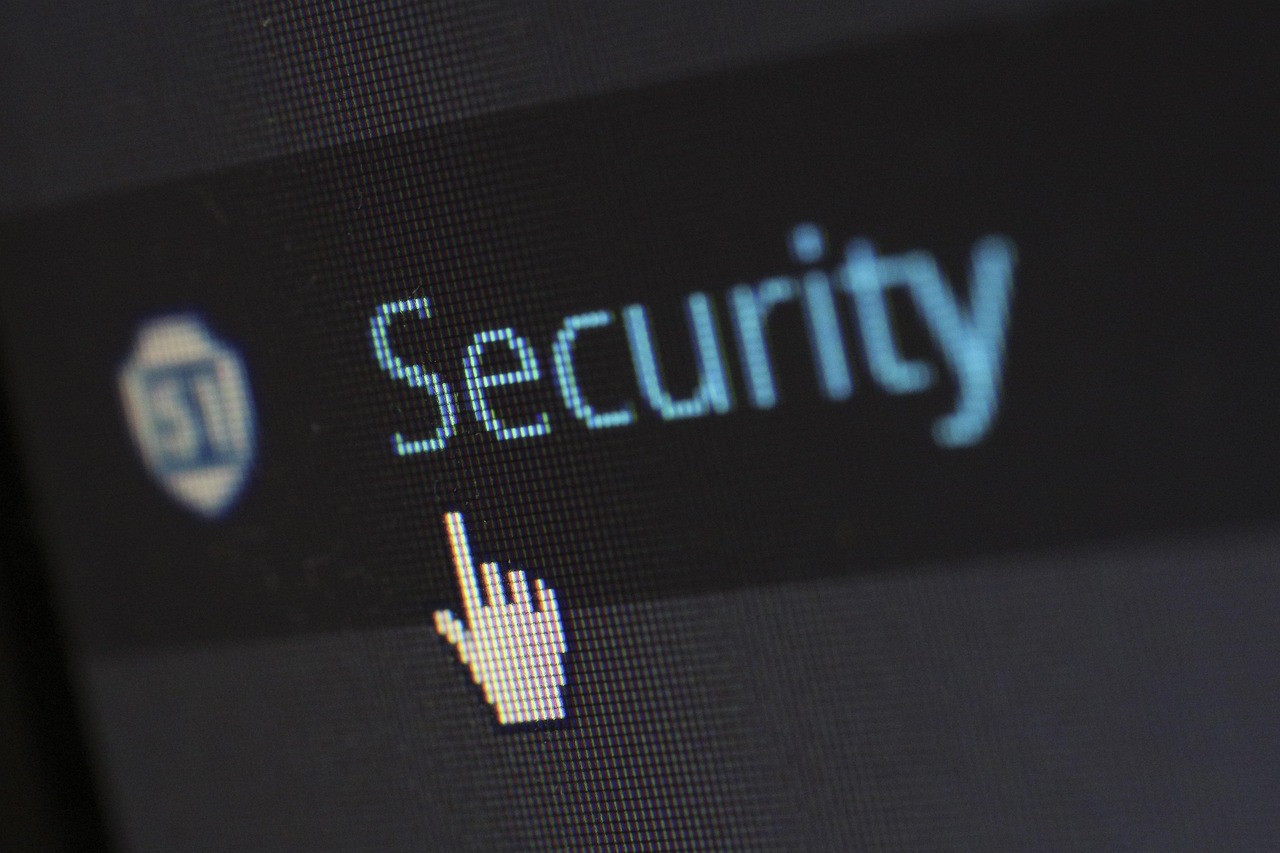 /ueditor/image/20250612/1749716443225576/a70a3f58a575d327d6a7177a6164c617.jpg security-265130_1280.jpg