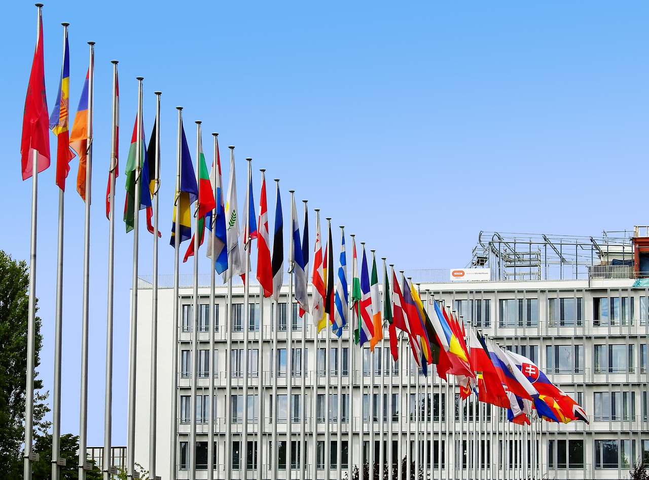 /ueditor/image/20250703/1751535807936938/04639345891d5244c5a80eb919ead46c.jpg flags-1615129_1280.jpg