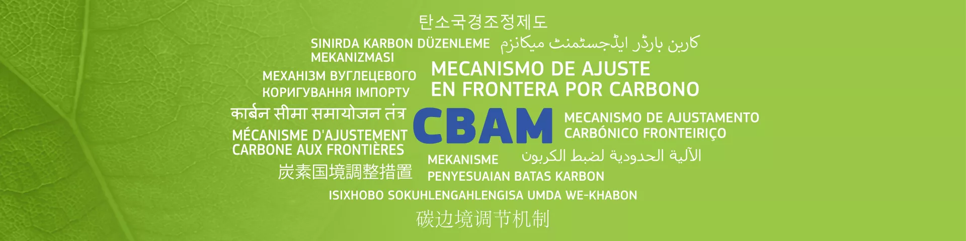 /ueditor/image/20260206/1770349395761783/d0b7ae747c1462c898c569a5cdc44878.png 微信图片_20260127145449_8749_19.png